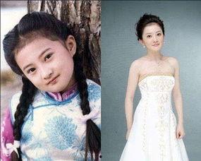 金铭策划爆料了吗最新消息,揭秘幕后真相，行业动态大起底！