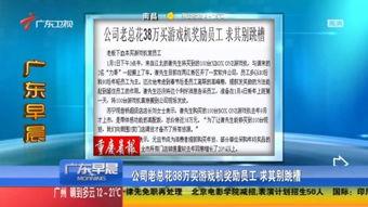 广东新闻珠江台爆料视频,广东新闻热点事件深度解析