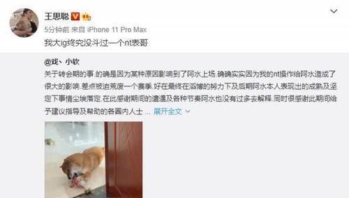 聪哥吃瓜视频在线观看免费,免费在线观看，畅享娱乐盛宴