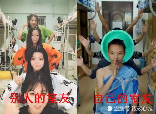 娱乐吃瓜酱室友