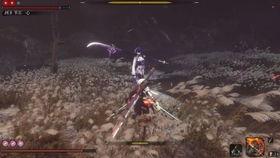 雷电将军被爆料视频,揭秘神秘力量与神秘背景