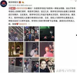 四冬最新爆料,揭秘娱乐圈惊天秘密