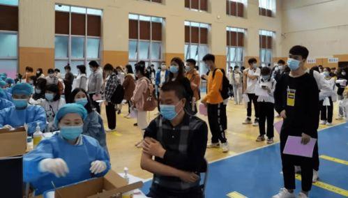 陈明文最新爆料消息,揭秘事件背后惊人真相！