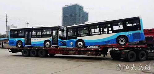 36路公交车爆料视频,一幕幕温馨瞬间，带你感受城市流动风景