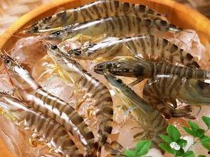 臭鱼烂虾爆料视频播放下载,独家播放下载，揭秘幕后真相