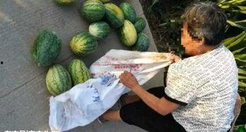 睢宁吃瓜最新事件爆料,最新爆料揭秘幕后真相