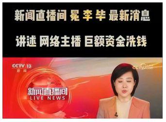 央视新闻爆料王冕视频全集,王冕视频全集深度解析