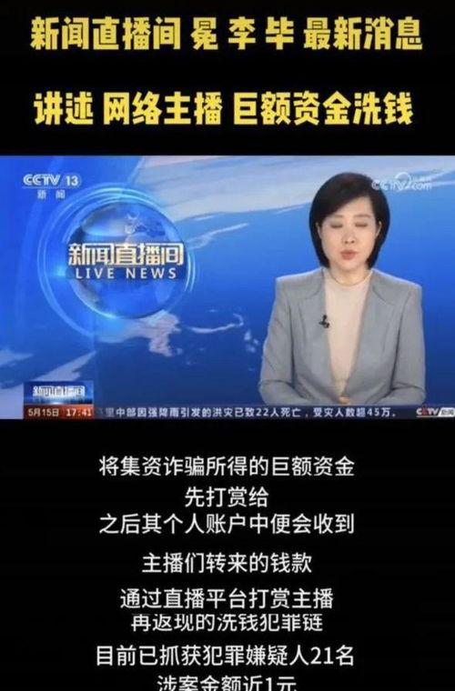 央视新闻爆料王冕视频全集,王冕视频全集深度解析