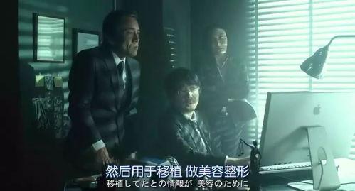 狼狈电影在线观看一,在线观看，人生百态尽收眼底