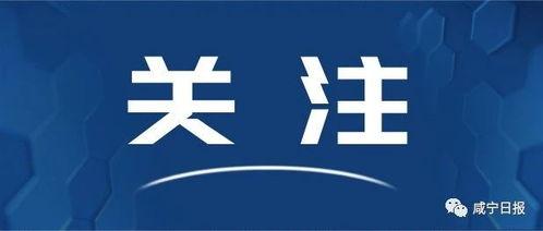 咸宁今日爆料最新消息新闻,重大新闻事件追踪！