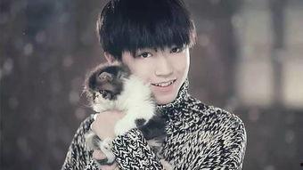 知乎爆料娱乐圈王俊凯,娱乐圈的青春偶像，揭秘他的成长之路