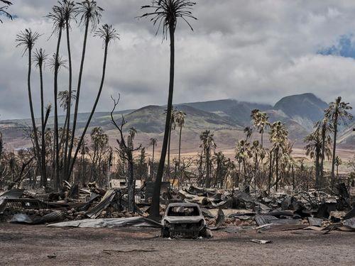 毛伊岛原住民爆料视频在线观看,神秘视频曝光岛民真实生活
