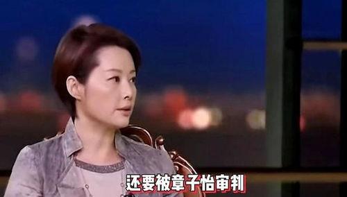 袁立爆料节目视频,真实与虚假的较量