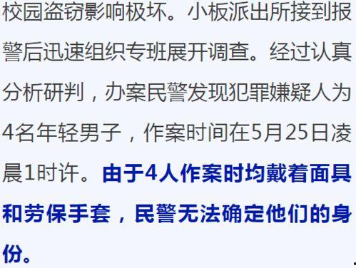 刑侦破案爆料流程视频,视频带你走进案件侦破全过程