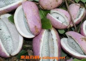 滴蜡烛网红吃瓜,揭秘网络红人的幕后生活