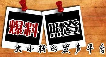 杭州本地新闻爆料平台,突发事件现场直击，详情即将揭晓