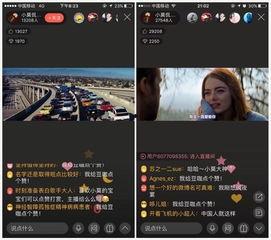 电影网红在线观看