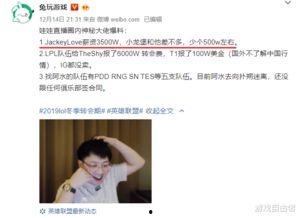 圈内爆料小龙是谁啊视频,小龙身份之谜，视频爆料引发热议