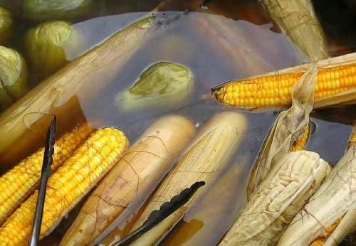 鹭岛爆料玉米肠视频网站,揭秘玉米肠背后的真相，视频网站带你一探究竟