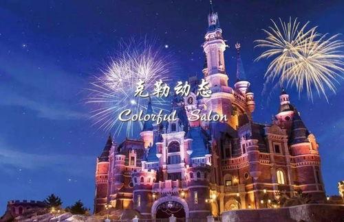 迪士尼情侣爆料视频大全,揭秘经典爆笑视频大全