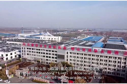 淄博临淄新闻头条爆料,最新爆料揭示重大事件