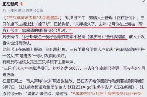 网上爆料大杨嫂录音视频,揭秘事件背后惊人真相