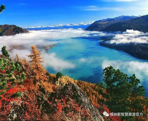 喀纳斯景区爆料事件最新,揭秘神秘事件背后的真相