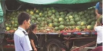 安溪吃瓜网红事件视频,网络热议背后的真相揭秘