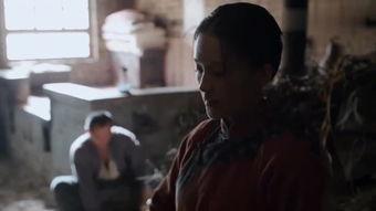 白鹿原完整版在线观看,穿越百年沧桑，探寻家族命运之谜