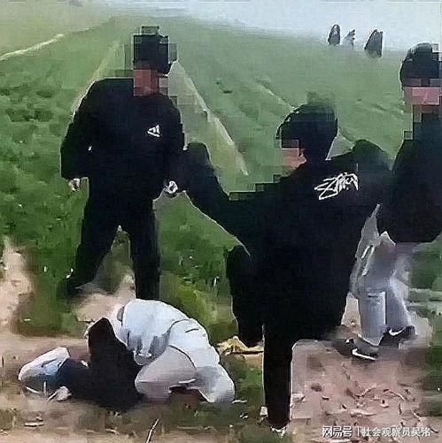 爆料邯郸二中事件视频完整版